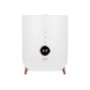 Adler , AD 7972 , Humidifier , 23 W , Water tank capacity 4 L , Suitable for rooms up to 35 m² , Ultrasonic , Humidification capacity 150-300 ml/hr , White