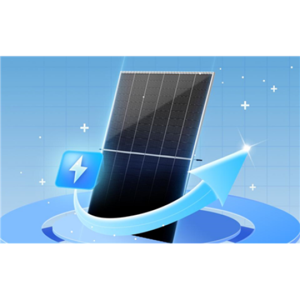 TrinaSolar , 700 W , VERTEX N NEG21C.20 , N-Type BIFACIAL Dual Glass Monocrystalline