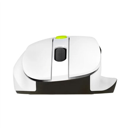 Asus Mouse , MD105 , Wireless , Bluetooth, 2.4GHz , Volt Green