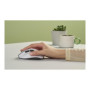 Asus Mouse , MD105 , Wireless , Bluetooth, 2.4GHz , Volt Green