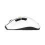 Asus Mouse , MD105 , Wireless , Bluetooth, 2.4GHz , Volt Green