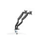 Digitus , Desk Mount , Universal Dual Monitor Mount with Gas Spring and Clamp Mount , Swivel, height adjustment, rotate , Black