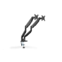 Digitus , Desk Mount , Universal Dual Monitor Mount with Gas Spring and Clamp Mount , Swivel, height adjustment, rotate , Black