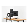 Digitus , Desk Mount , Universal Dual Monitor Mount with Gas Spring and Clamp Mount , Swivel, height adjustment, rotate , Black