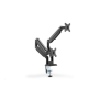 Digitus , Desk Mount , Universal Dual Monitor Mount with Gas Spring and Clamp Mount , Swivel, height adjustment, rotate , Black