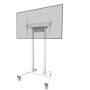 Neomounts Floor stand , FL55-875WH1 TV trolley , Adjustable Height , 55-100 , Maximum weight (capacity) 110 kg , White