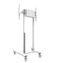 Neomounts Floor stand , FL55-875WH1 TV trolley , Adjustable Height , 55-100 , Maximum weight (capacity) 110 kg , White