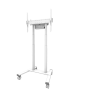 Neomounts Floor stand , FL55-875WH1 TV trolley , Adjustable Height , 55-100 , Maximum weight (capacity) 110 kg , White