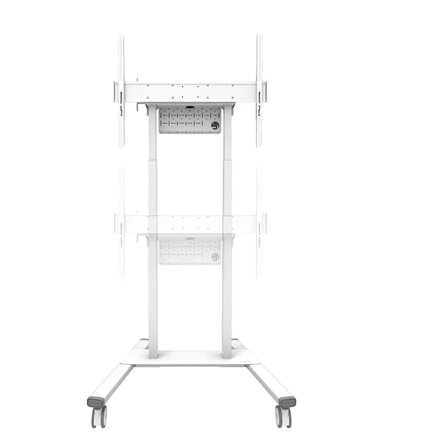 Neomounts Floor stand , FL55-875WH1 TV trolley , Adjustable Height , 55-100 , Maximum weight (capacity) 110 kg , White