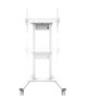 Neomounts Floor stand , FL55-875WH1 TV trolley , Adjustable Height , 55-100 , Maximum weight (capacity) 110 kg , White
