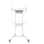 Neomounts Floor stand , FL55-875WH1 TV trolley , Adjustable Height , 55-100 , Maximum weight (capacity) 110 kg , White