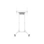 Neomounts Floor stand , FL55-875WH1 TV trolley , Adjustable Height , 55-100 , Maximum weight (capacity) 110 kg , White