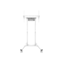 Neomounts Floor stand , FL55-875WH1 TV trolley , Adjustable Height , 55-100 , Maximum weight (capacity) 110 kg , White