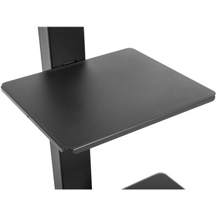 Goobay Floor stand , TV Floor Stand Basic, Size L , Swivel , 37-70 , Maximum weight (capacity) 40 kg , Black