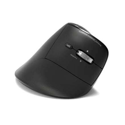 PORT CONNECT Mouse , ERGO AUDITOR , Wireless , Bluetooth, 2.4 GHz , Black