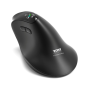 PORT CONNECT Mouse , ERGO AUDITOR , Wireless , Bluetooth, 2.4 GHz , Black