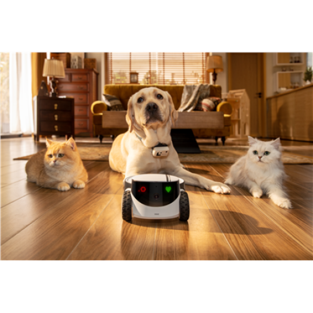 Enabot , Family Robot IP Camera , ROLA PetPal