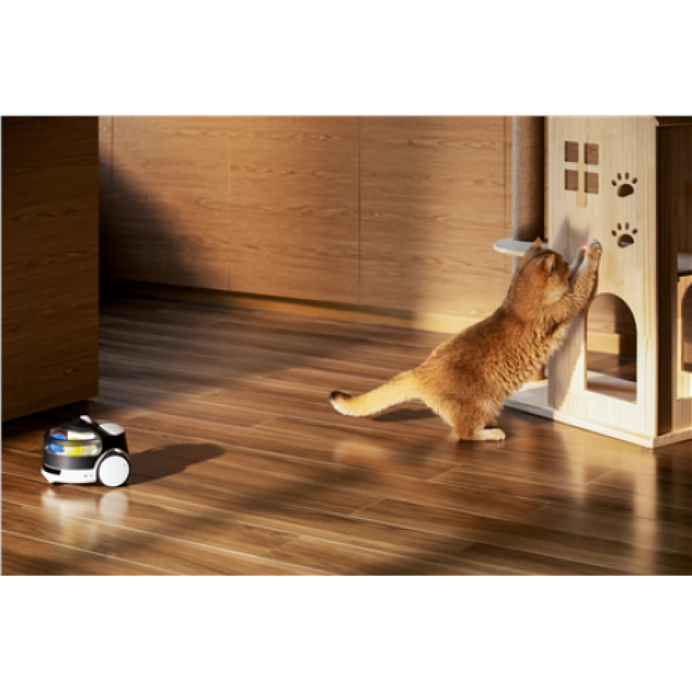 Enabot , Family Robot IP Camera , ROLA PetPal