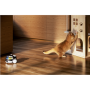 Enabot , Family Robot IP Camera , ROLA PetPal