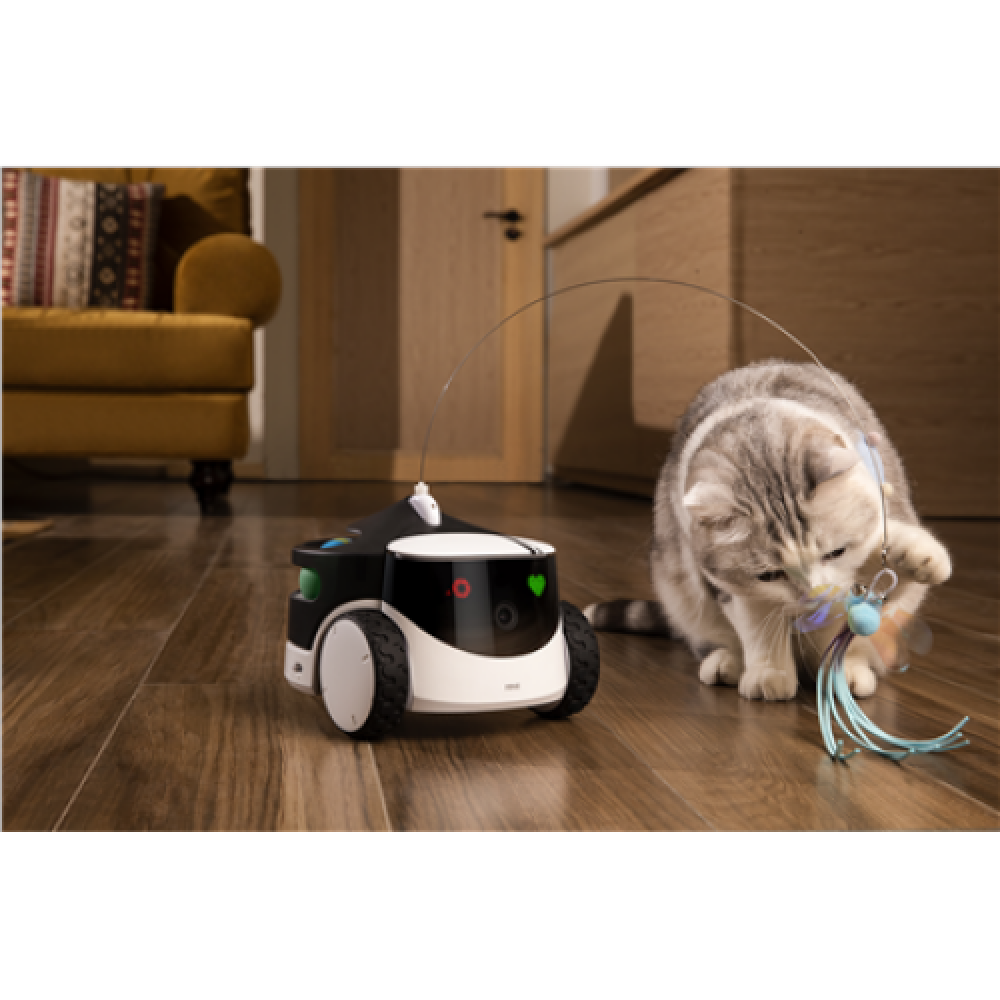Enabot , Family Robot IP Camera , ROLA PetPal