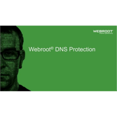 Webroot , DNS Protection with GSM Console , 2 year(s) , License quantity 1-9 user(s)