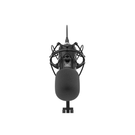 Genesis , Condenser Microphone , Radium 400 G2 , Black
