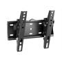 Gembird , Wall mount , WM-42T-02 , Tilt , 23-42 , Black