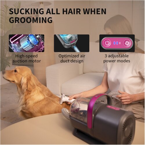 PETKIT , Air Clipper Pet Grooming Vacuum Kit 5in1 , LM4 , Grey/White