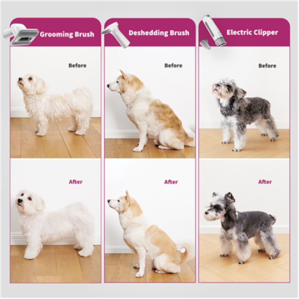 PETKIT , Air Clipper Pet Grooming Vacuum Kit 5in1 , LM4 , Grey/White