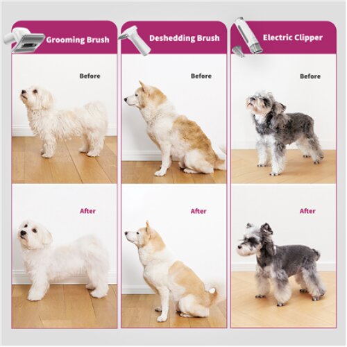 PETKIT , Air Clipper Pet Grooming Vacuum Kit 5in1 , LM4 , Grey/White