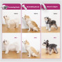 PETKIT , Air Clipper Pet Grooming Vacuum Kit 5in1 , LM4 , Grey/White