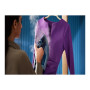 Philips , DST8020/20 Azur 8000 Series , Steam Iron , 3000 W , Water tank capacity 300 ml , Continuous steam 55 g/min , Light blue