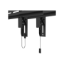 Neomounts Wall mount , WL35S-950BL19 , Tilt, Height adjustment, Width adjustment, Rotate , 55-115 , Maximum weight (capacity) 160 kg , Black