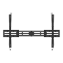 Neomounts Wall mount , WL35S-950BL19 , Tilt, Height adjustment, Width adjustment, Rotate , 55-115 , Maximum weight (capacity) 160 kg , Black