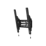 Neomounts Wall mount , WL35S-950BL19 , Tilt, Height adjustment, Width adjustment, Rotate , 55-115 , Maximum weight (capacity) 160 kg , Black