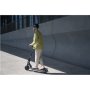 Segway , E2 E II , eKickScooter , 450 W , Up to 20 km/h , 8.1 , Black and Gray