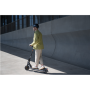 Segway , E2 E II , eKickScooter , 450 W , Up to 20 km/h , 8.1 , Black and Gray