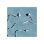 Sudio Earbuds , V3 , USB-C , In-ear , Microphone , Grey White