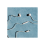Sudio Earbuds , V3 , USB-C , In-ear , Microphone , Grey White