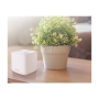 EU+UK 2PK Router , ZenWiFi XD5 , 802.11ax , 574+2402 Mbit/s , 10/100/1000 Mbit/s , Ethernet LAN (RJ-45) ports 1 , Mesh Support Yes , MU-MiMO Yes , No mobile broadband , 36 month(s)