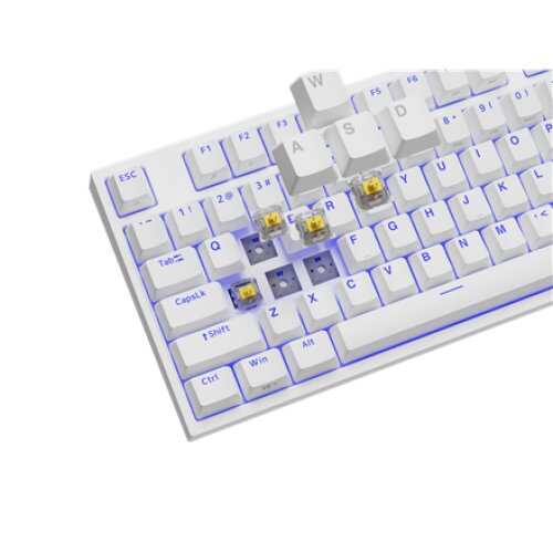 Genesis , THOR 404 TKL , Mechanical Gaming Keyboard , Wired , US , Gateron Yellow Pro , White , RGB