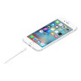 Apple Lightning to USB Cable (1m) , Apple , USB-A to Lightning