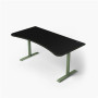 Arozzi Gaming Desk , Arena Large , Forest Green