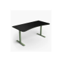 Arozzi Gaming Desk , Arena Large , Forest Green