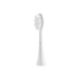 ETA , Toothbrush replacement , FlexiClean ETA070790100 , Heads , For adults , Number of brush heads included 2 , Number of teeth brushing modes Does not apply , White