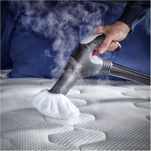 Polti , Steam cleaner , PVEU0083 Vaporetto Lecoaspira FAV50 Multifloor , Power 1350 W , Steam pressure 5 bar , Water tank capacity 1.1 L , White