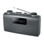 Muse , Portable radio , M-058R , AUX in , Black