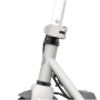 Segway Ninebot eKickscooter ZING C10, 24 month(s), Grey