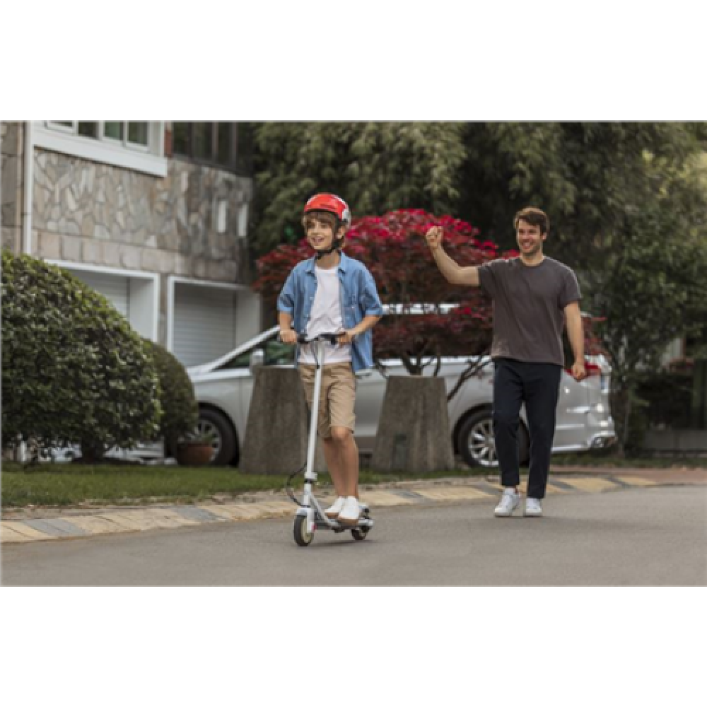 Segway Ninebot eKickscooter ZING C10, 24 month(s), Grey