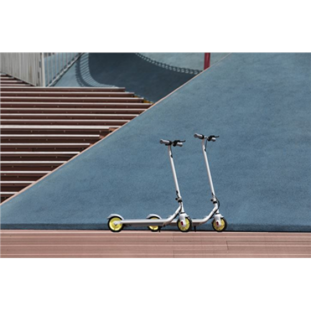 Segway Ninebot eKickscooter ZING C10, 24 month(s), Grey